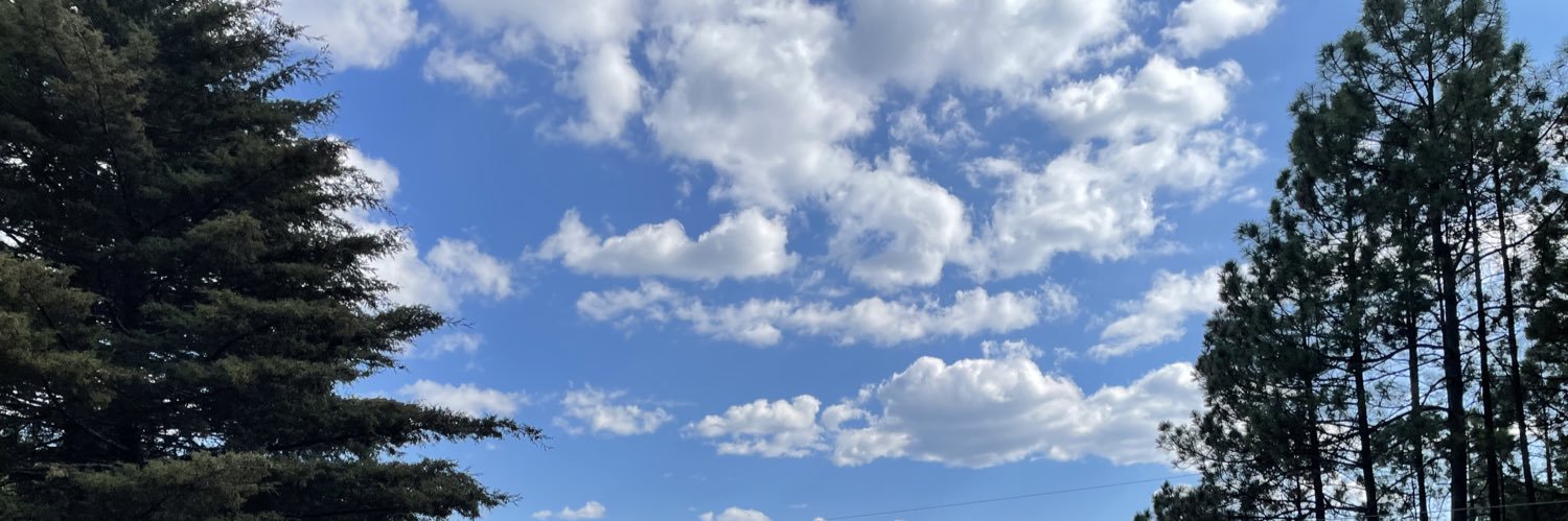 aleqtroe's profile banner image