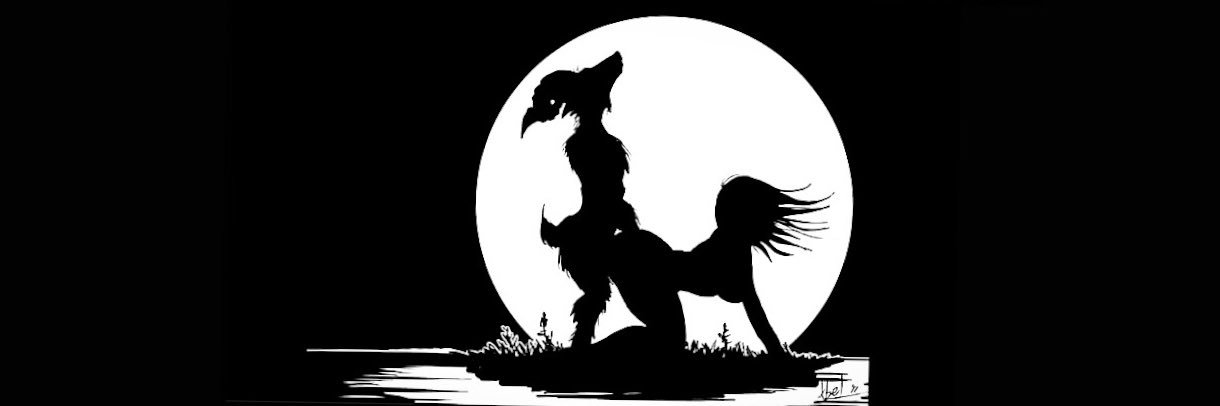 trotamundoRK's profile banner image