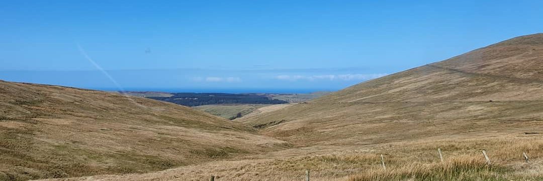 ellenbolton_'s profile banner image