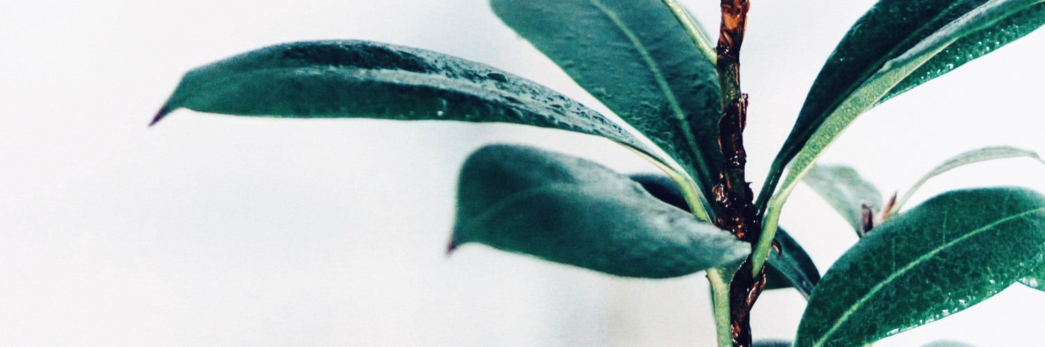Ilce_Velher's profile banner image