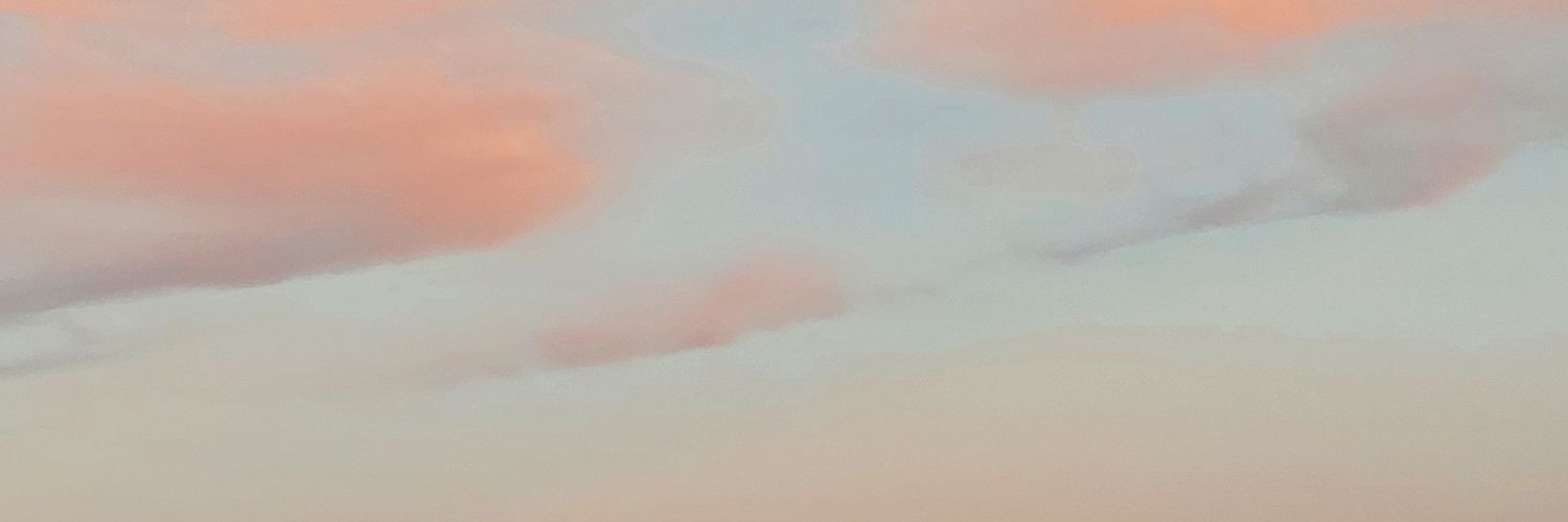 twbylhc's profile banner image