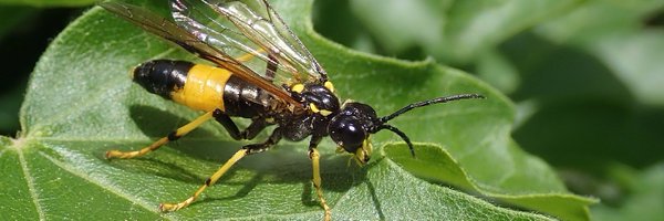 andymus1 Profile Banner