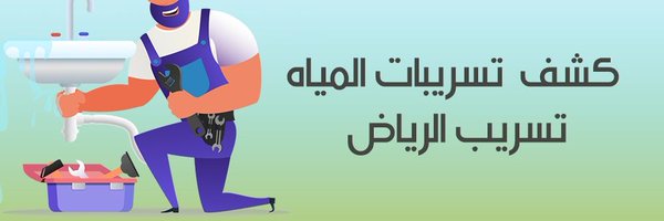 mersaally Profile Banner