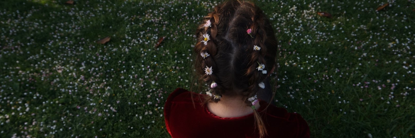 nlgamma's profile banner image