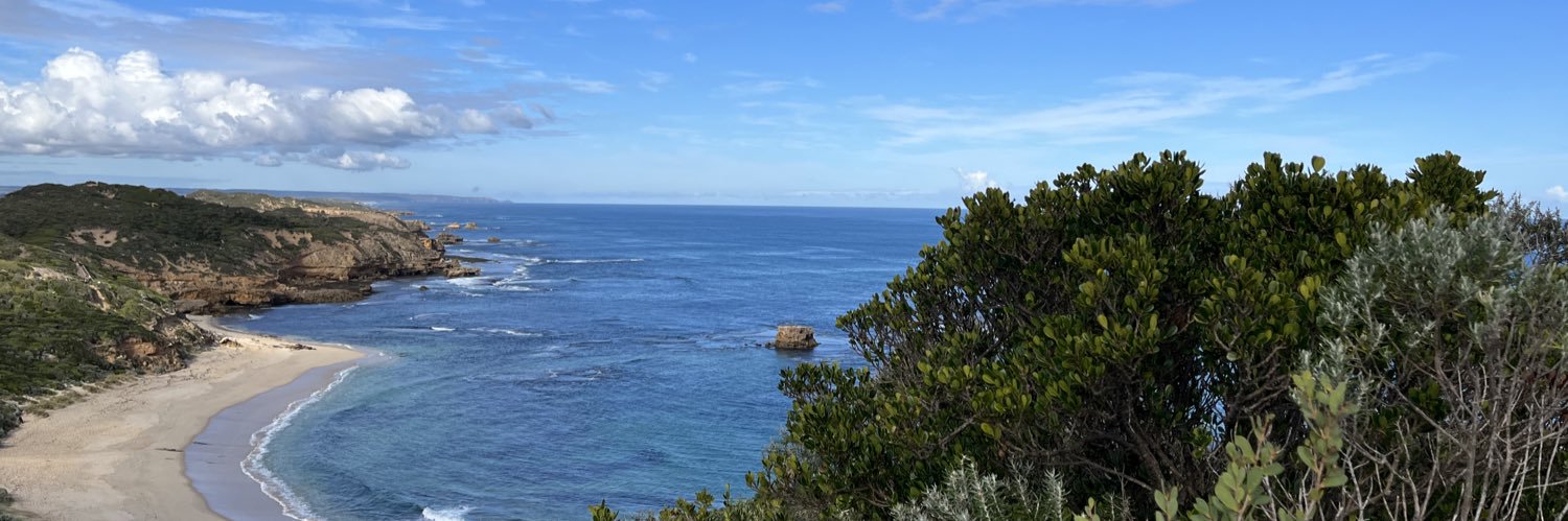 Despi O'Connor 🤗 She/Her banner