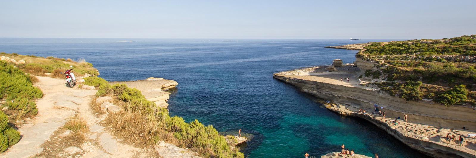 Radek Maciejewski banner