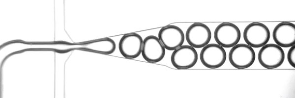 Caroline0786 Profile Banner