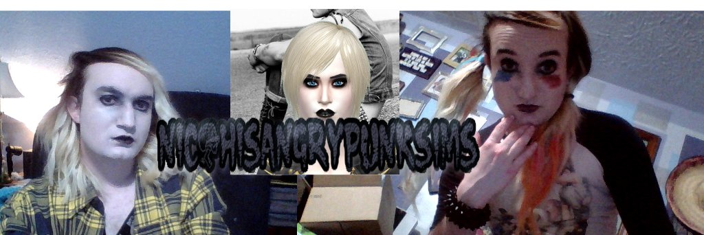 Nicpunksims's profile banner image