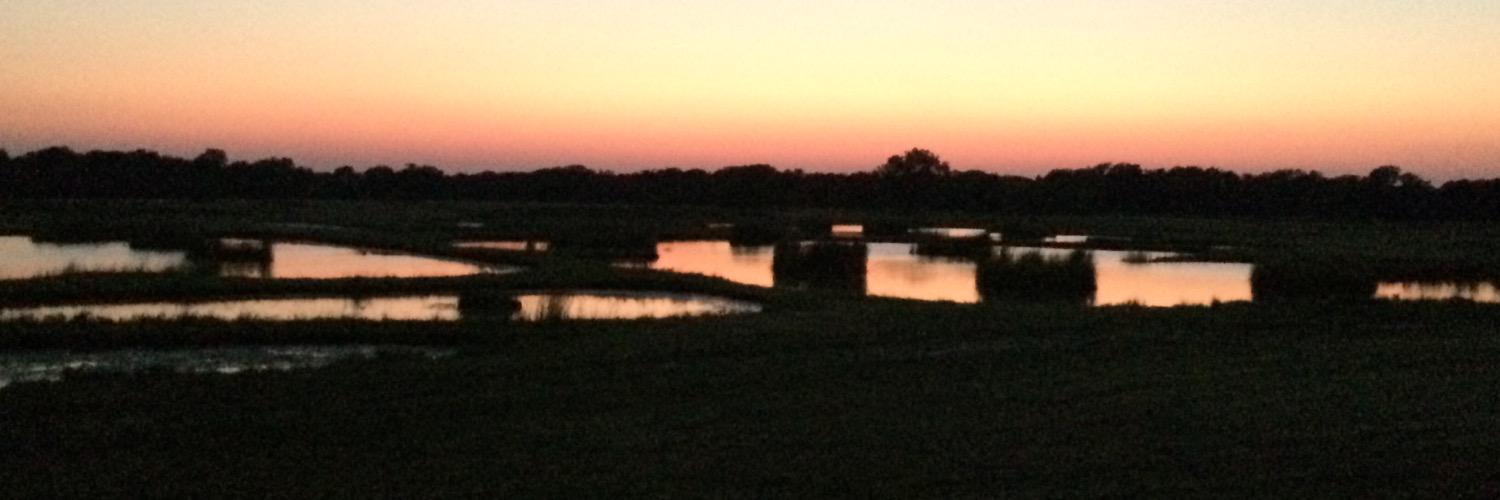 PinOakKennels's profile banner image