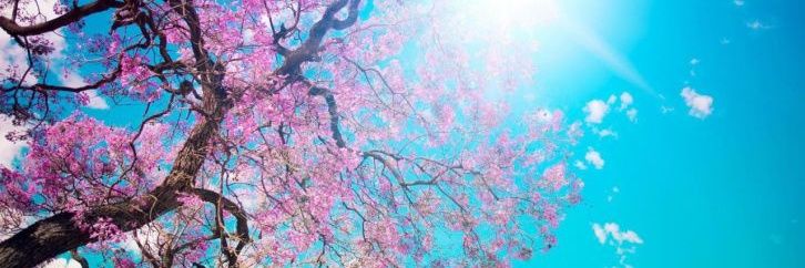 Beca_R's profile banner image