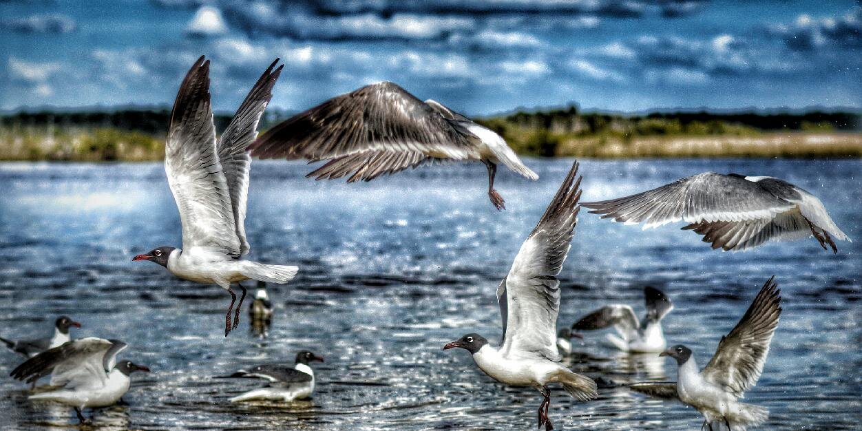 Emanuel Madrid Diaz banner