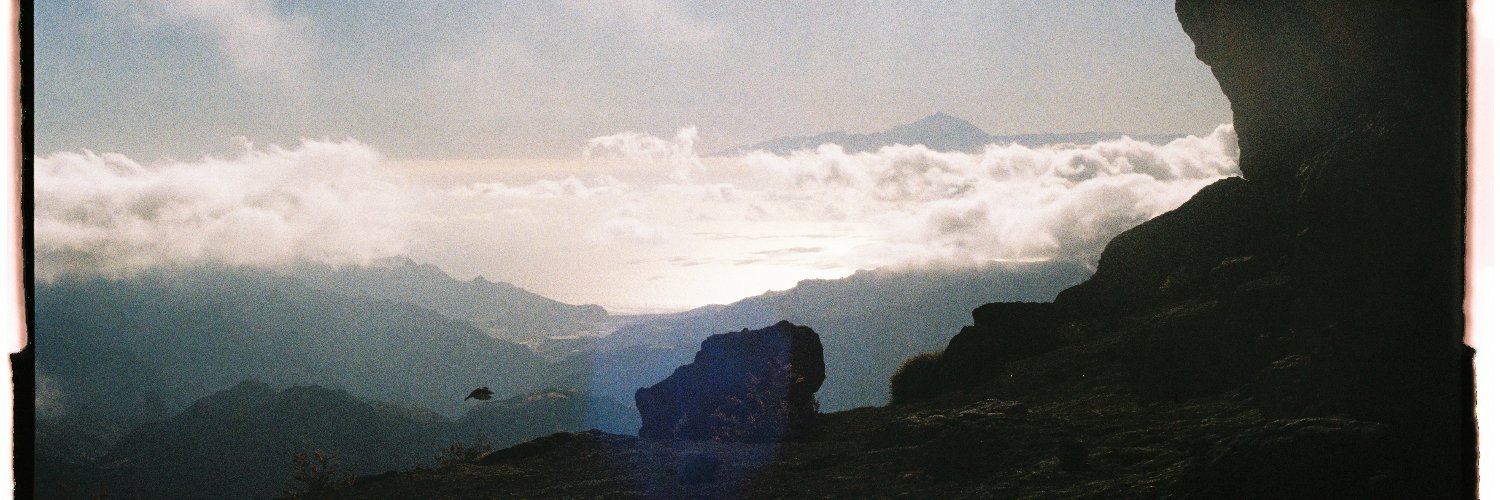 Alejandro Fer banner