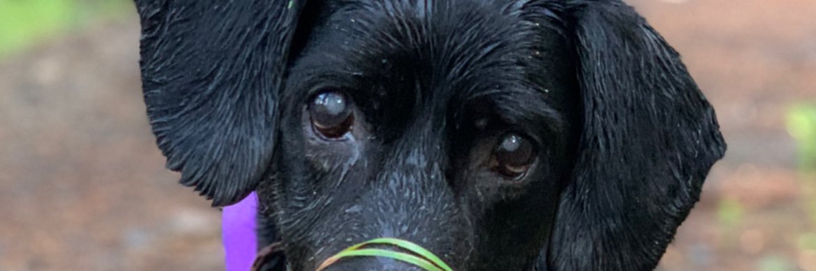 pablo_aqc's profile banner image