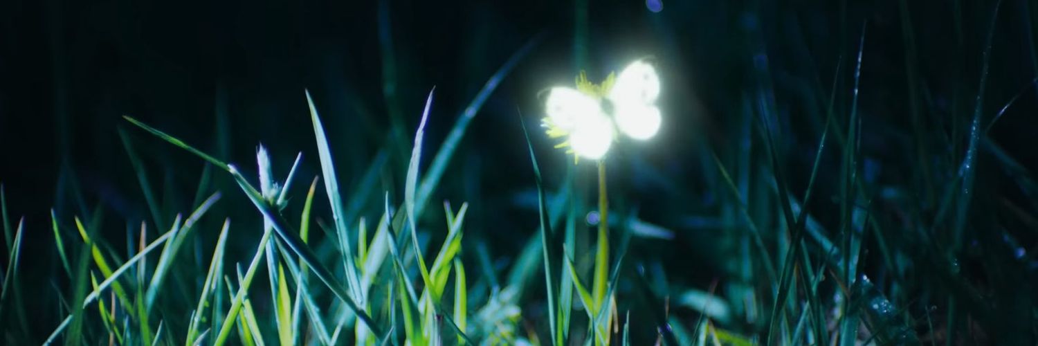 chandelle15's profile banner image