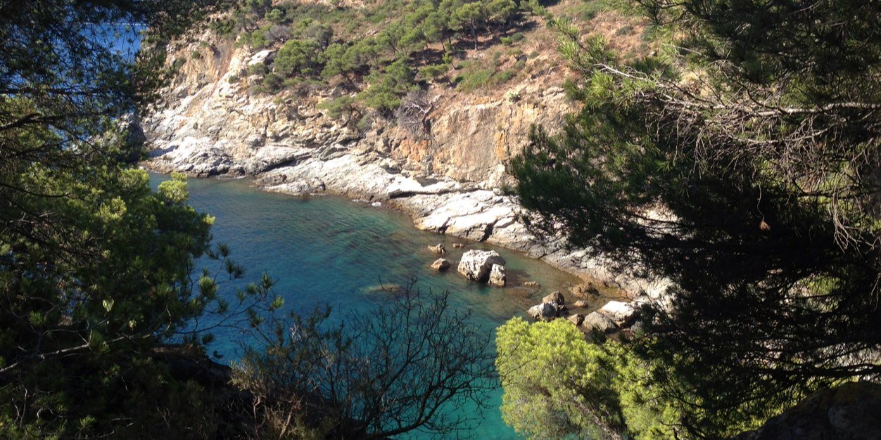 Burtin Florent banner