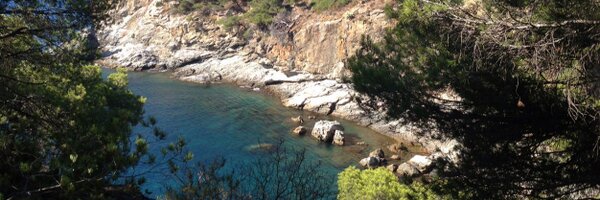 f4fb4b Profile Banner