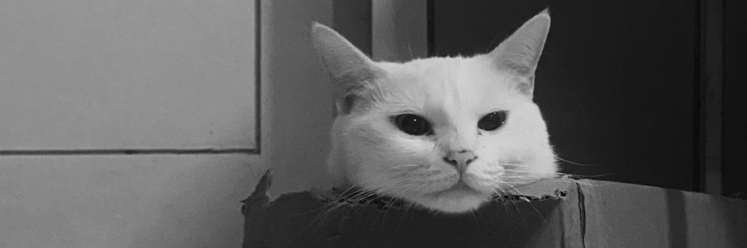 vin00L's profile banner image