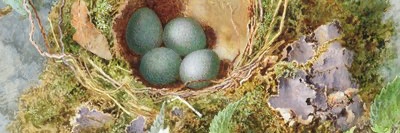 Victoria Grainger banner