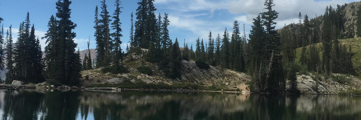 JarvisAllie's profile banner image