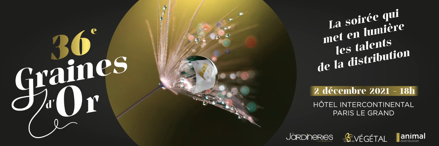 GrainesdOr's profile banner image