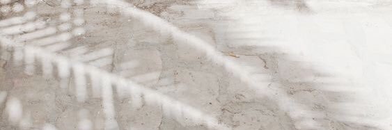 Alexiaesc's profile banner image