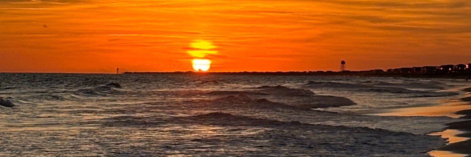 shellmur's profile banner image