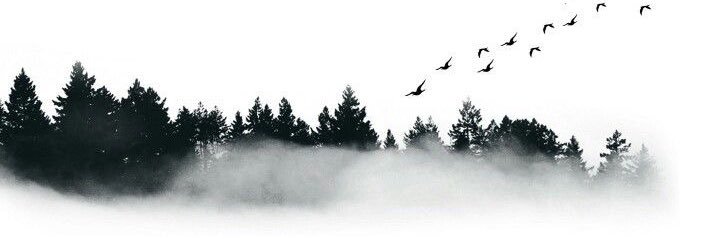 Lunareja banner