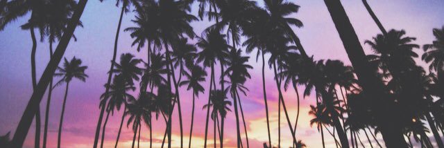 amelia banner