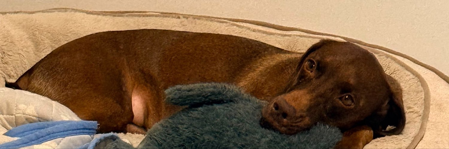 sofsofiz's profile banner image