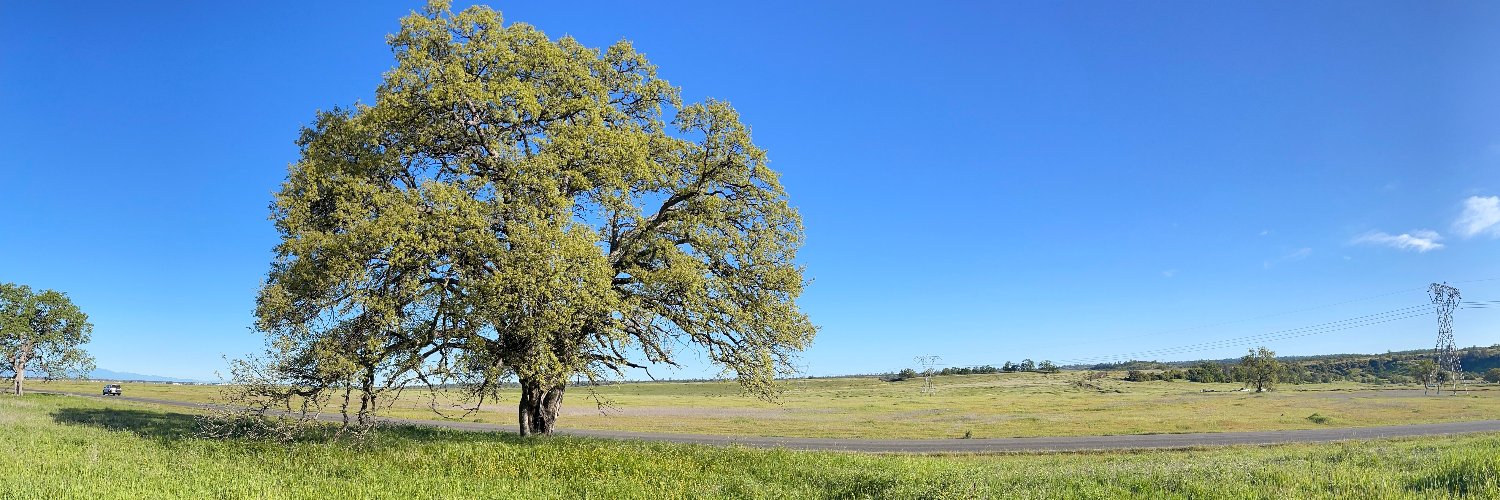 Chico News & Review banner