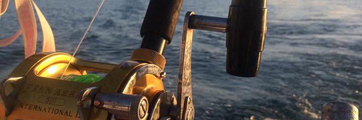 jamil_wever's profile banner image