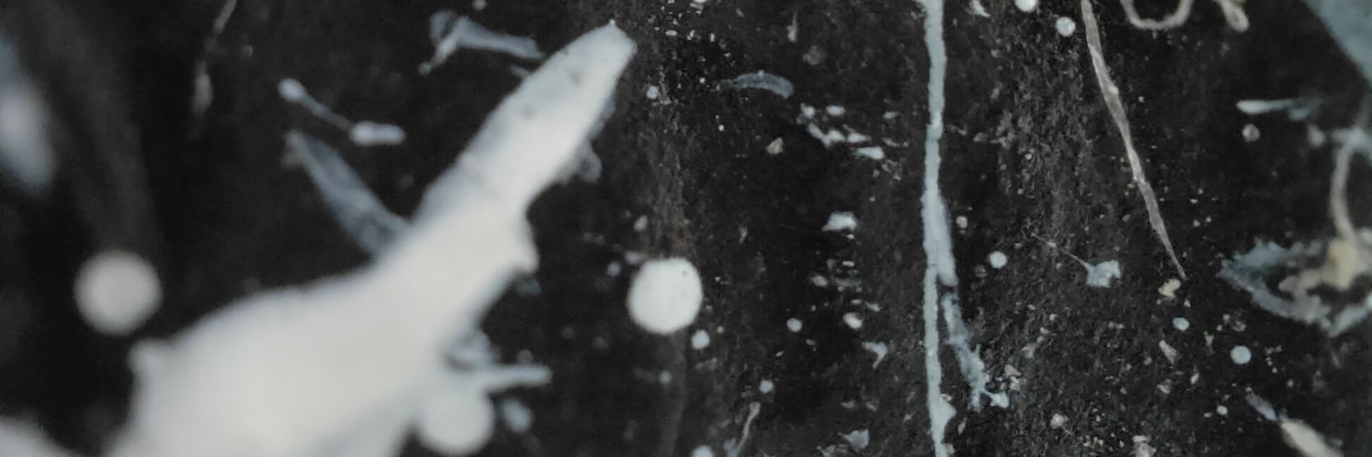 Le_Loustique's profile banner image