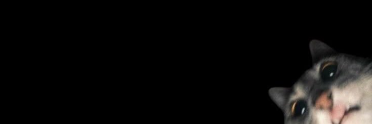 froggyhachi's profile banner image