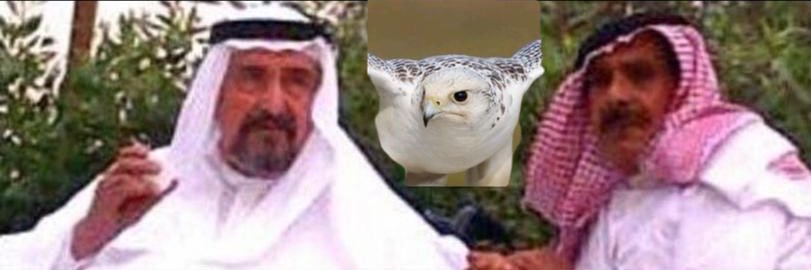 khalidalkshty's profile banner image