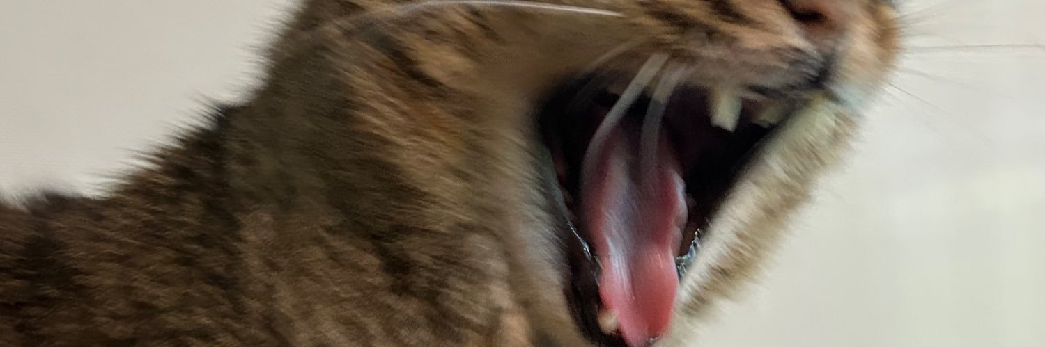 lulibelx's profile banner image