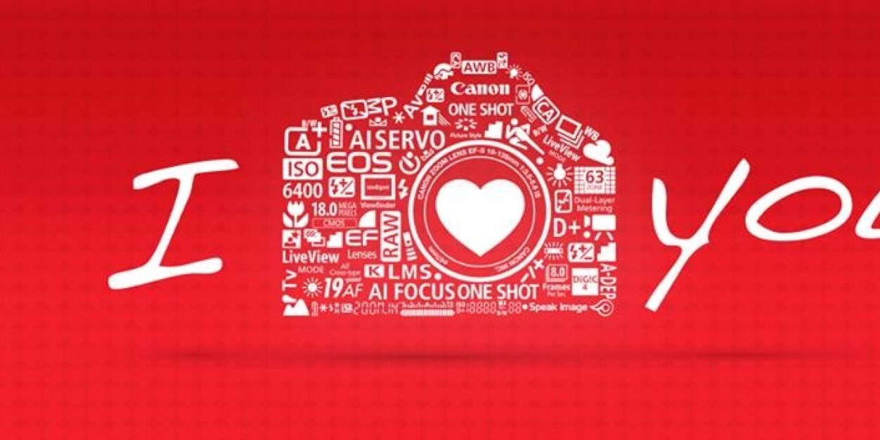 Catador de tacos🐉 banner