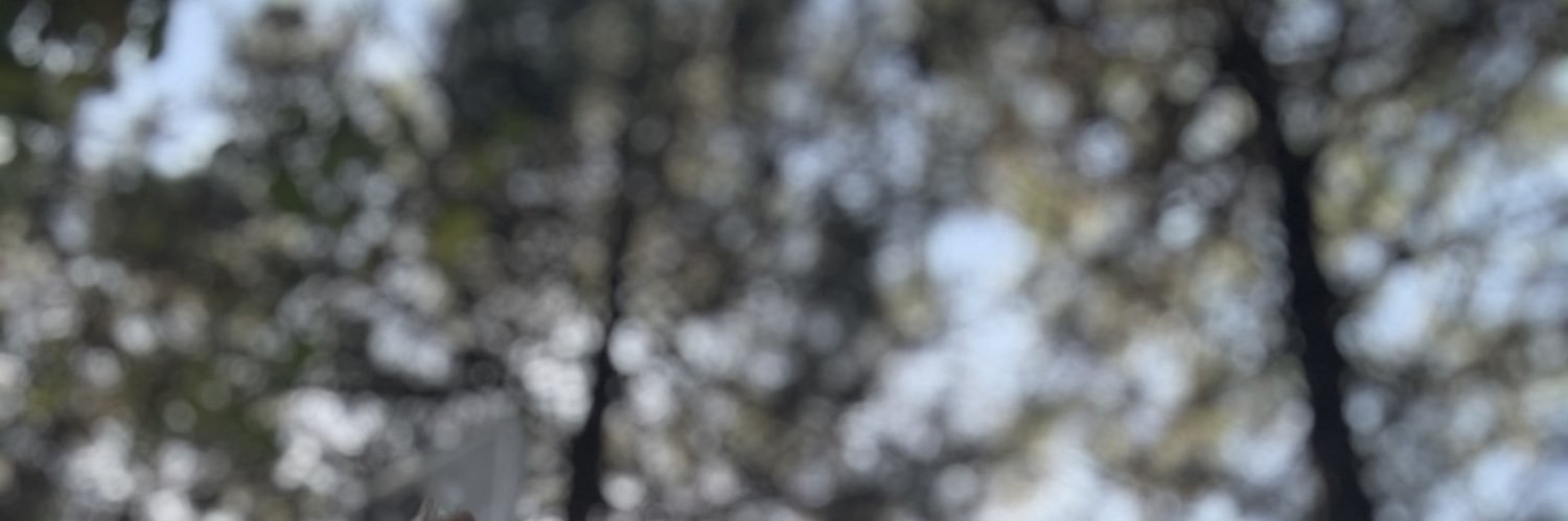 _ThePearl_'s profile banner image