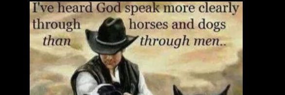 TheShepherd47's profile banner image