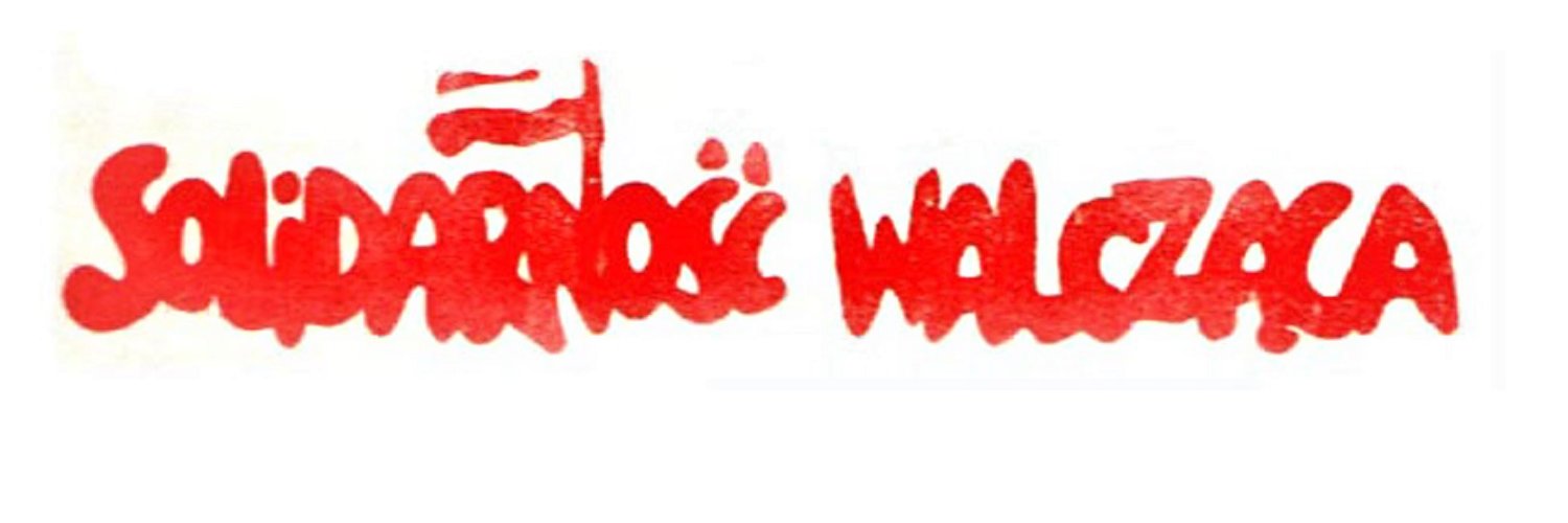 Michal Wieczorek banner