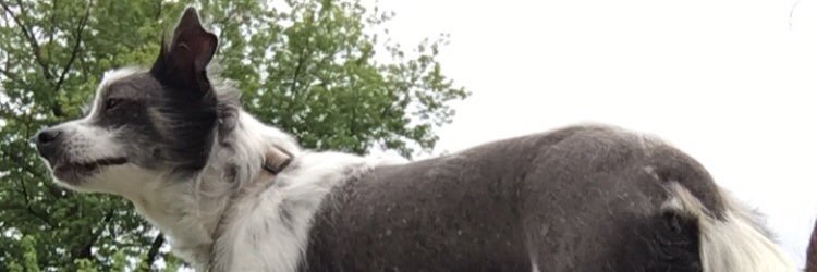 TylerDonald104's profile banner image