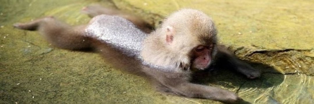 stewart (cold and limp) banner