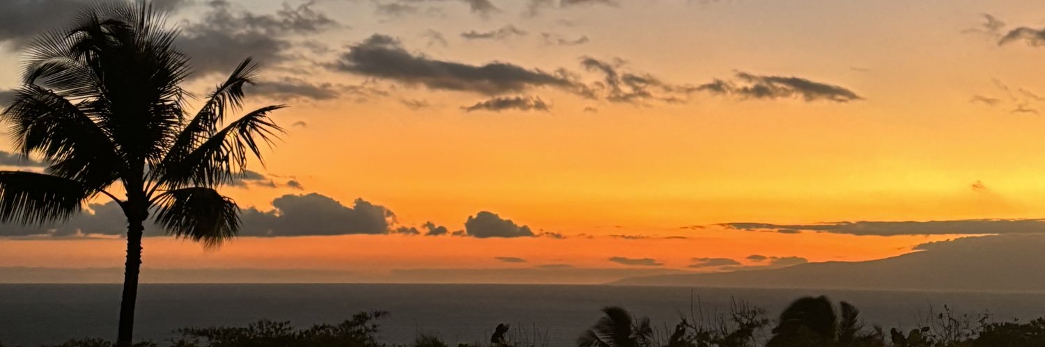 moonlit98's profile banner image