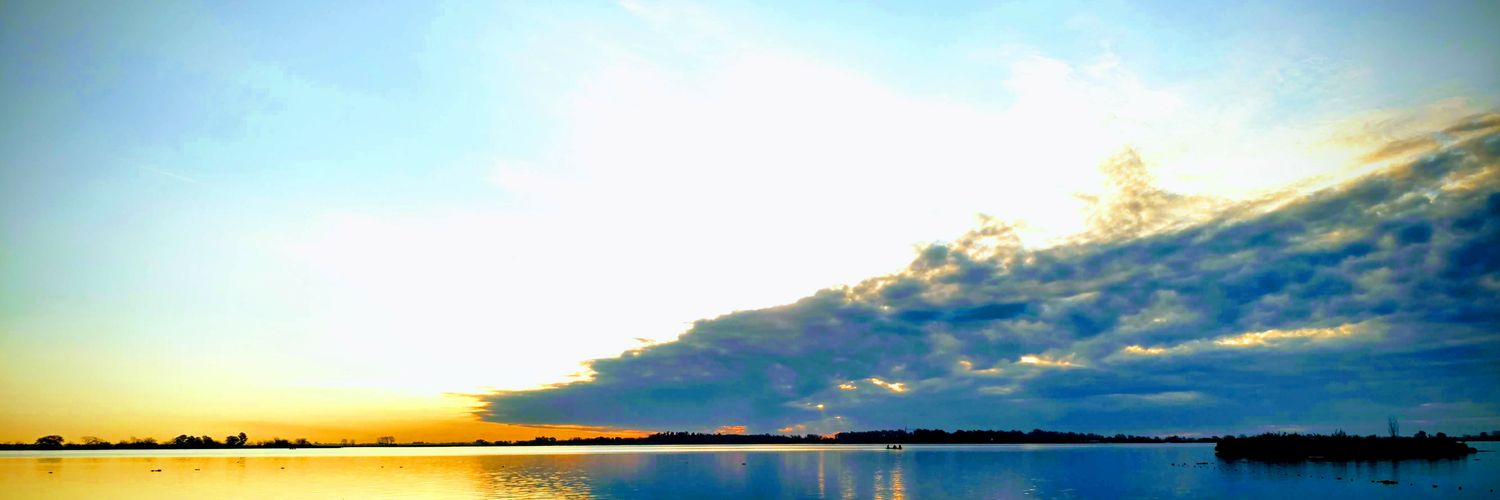 mpisoardi's profile banner image