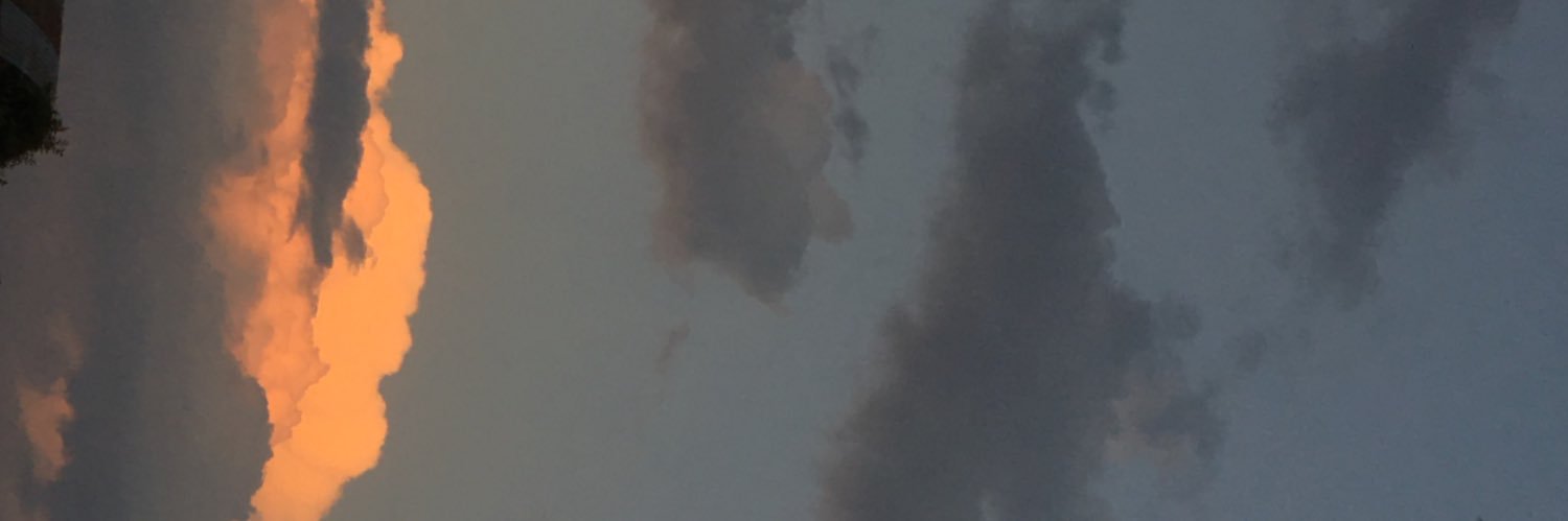 camila banner