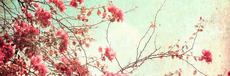 BellaUchooa's profile banner image