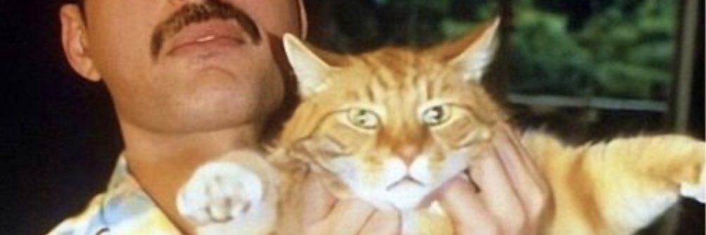 RamenDavis's profile banner image