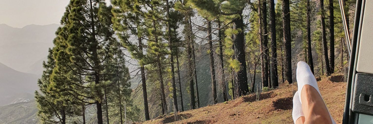 pedepa30's profile banner image