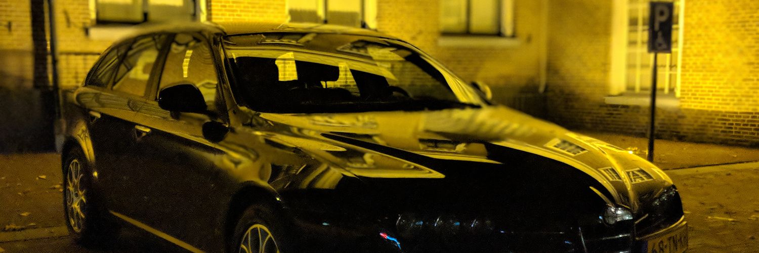 rlbos's profile banner image