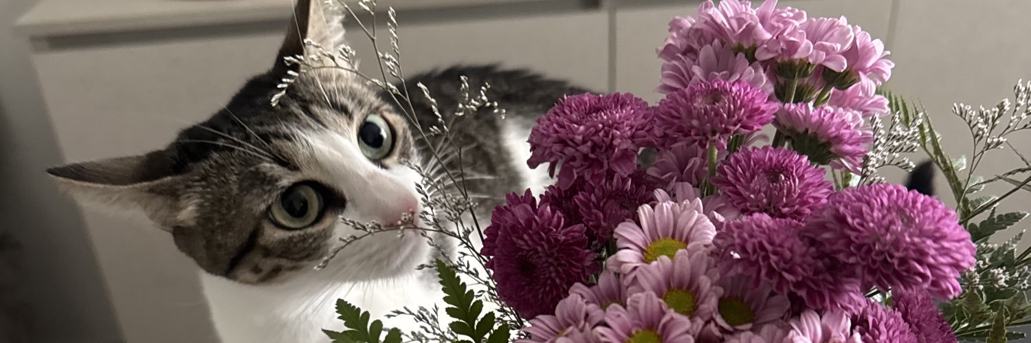 pxgianna's profile banner image
