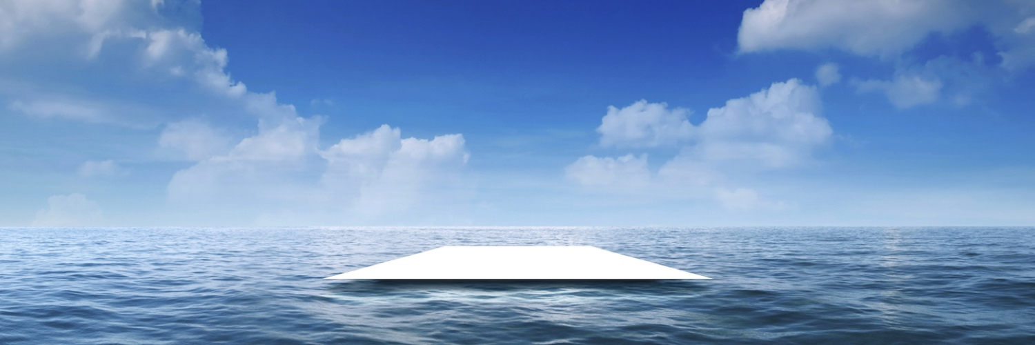 Anton Vronskii banner